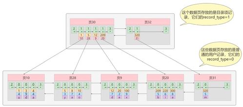 MySQL存儲引擎深度解析 InnoDB與MyISAM的索引數據結構及其數據處理與存儲服務